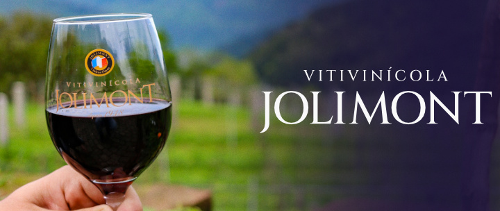 Vinícola Jolimont. Tour Jolimont com Visitação + Degustação de Vinhos, Espumantes e Taça de BRINDE. 