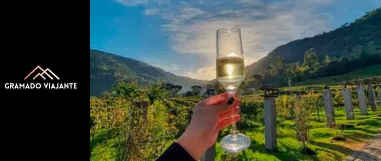 Gramado Viajante: Tour do Vinho Jolimont com Desconto - Tchê Ofertas.