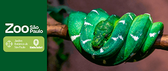 Ingressos Zoo São Paulo com Cupom de Desconto do Tchê Ofertas.