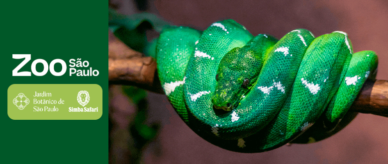 Ingressos Zoo São Paulo com Cupom de Desconto do Tchê Ofertas.