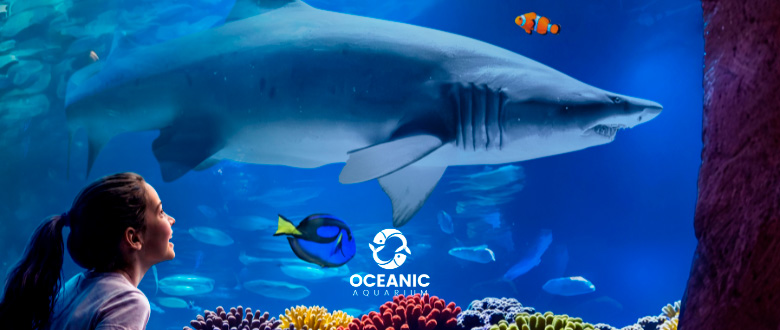 Oceanic Aquarium com desconto nos ingressos. Imagem fachada do Oceanic e peixes nadando.