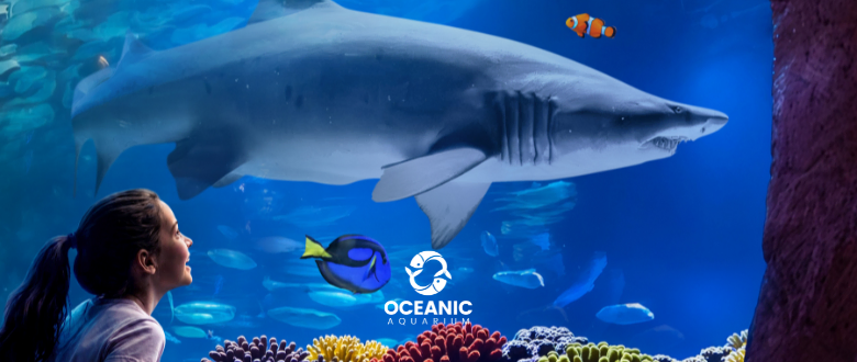 Oceanic Aquarium com desconto nos ingressos. Imagem fachada do Oceanic e peixes nadando.